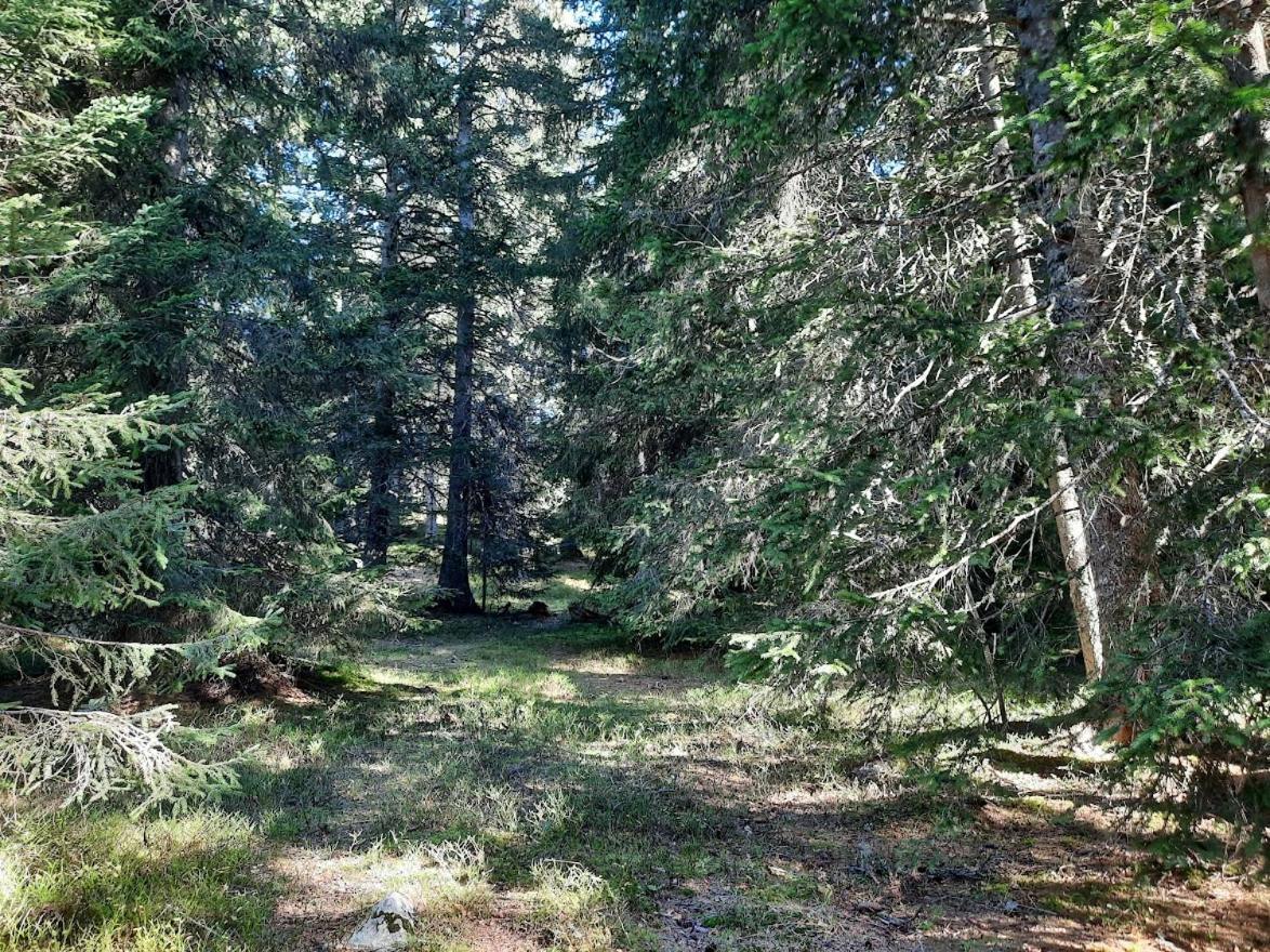 La Petite Foret Chamrousse 1700 Exterior photo