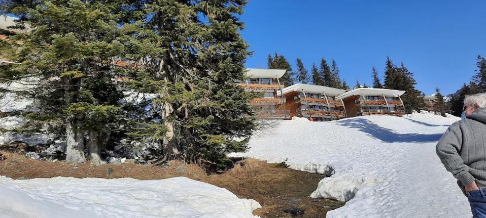 La Petite Foret Chamrousse 1700 Exterior photo